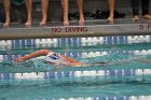 Swim vs Bentley  Wheaton College Swimming & Diving vs Bentley University. - Photo by Keith Nordstrom : Wheaton, Swimming & Diving